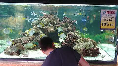 Big Al's Aquarium Svc Wrhse
